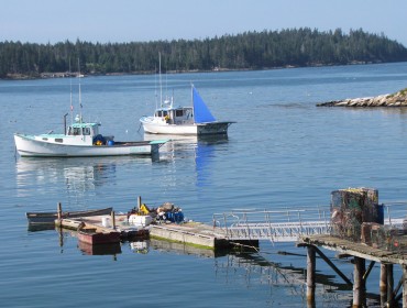 Swan's Island summer scene.