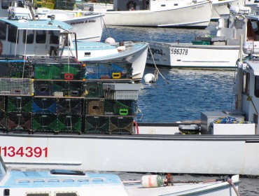 Lobster boats in Vinalhaven's Carver's Harbor.