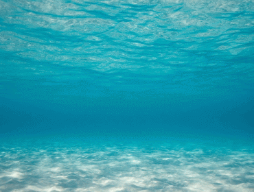 Underwater