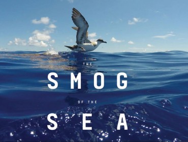 Smog of the Sea