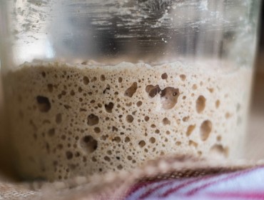 Sourdough starter