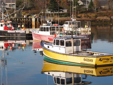 Lobster boats moored in Corea Harbor.