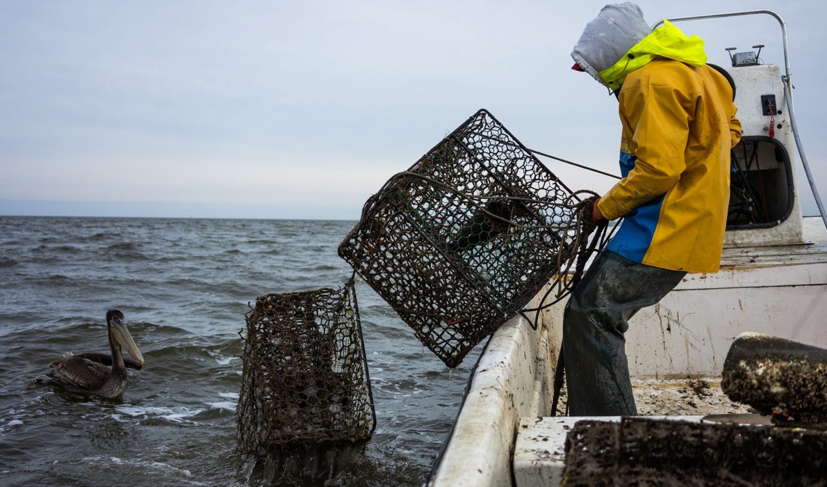 Ghost crab pots