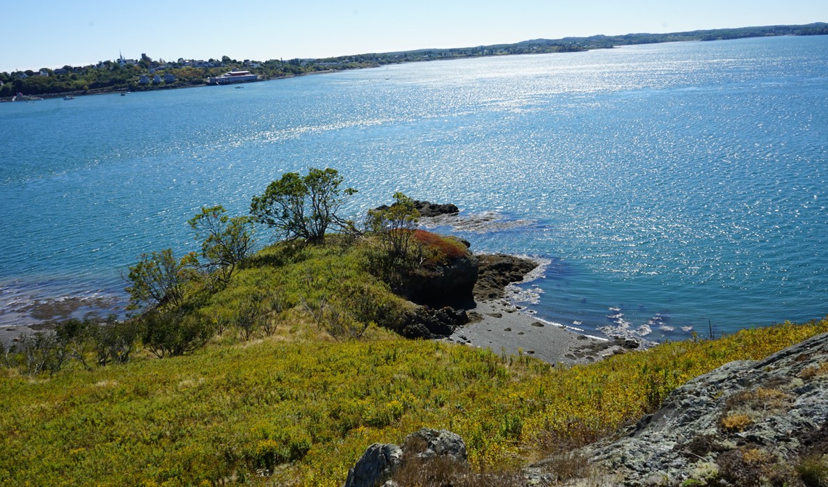 Dudley Island, off Lubec