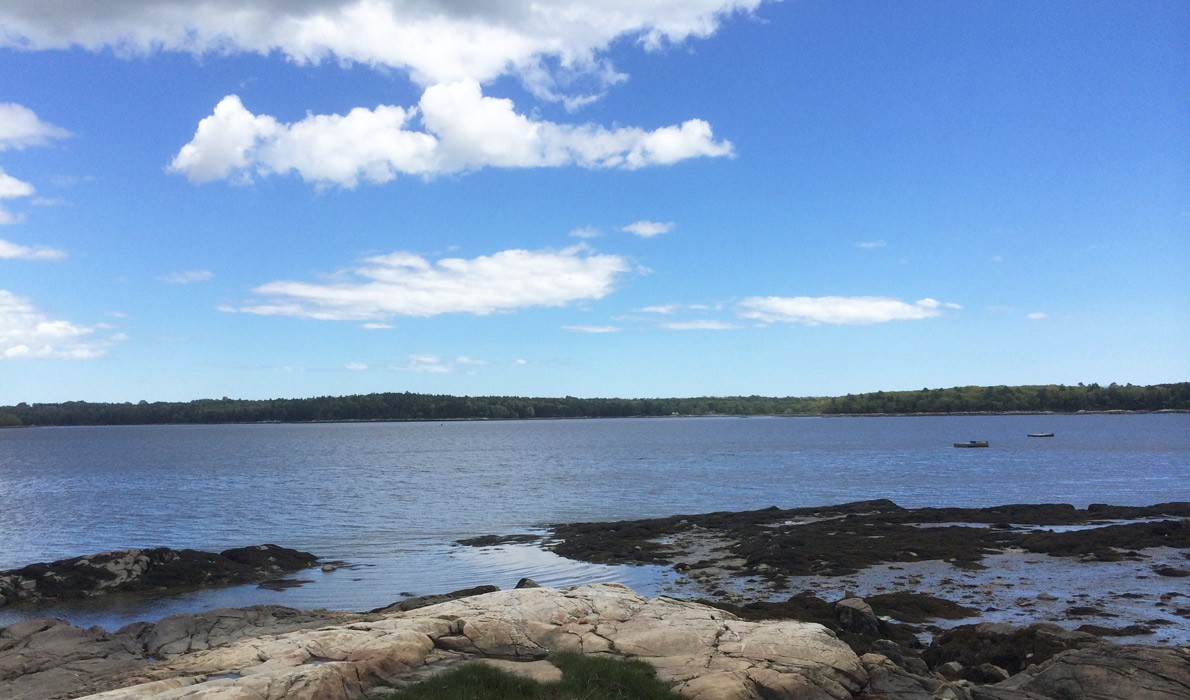 A view of the Medomak estuary.