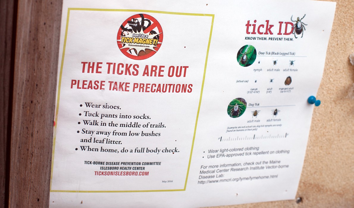 Warning: Ticks