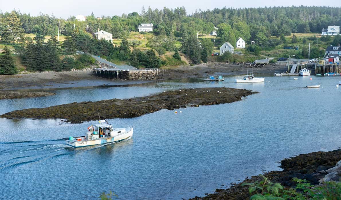 Looking down on Lunt's Harbor in Frenchboro, shot last summer.