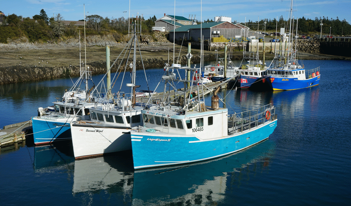 Boats in a protected anchorage on Grand Manan, N.B.