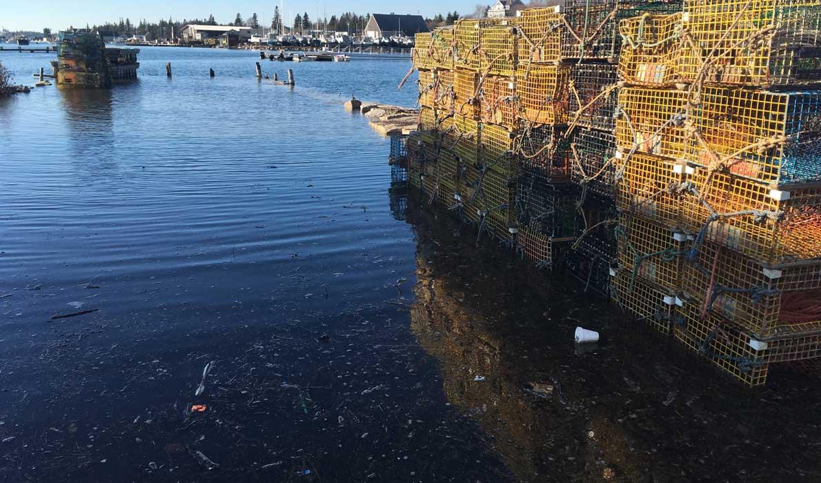 During a recent high tide in Vinalhaven, saltwater spills over the seawall onto a parking lot and fishing access area.