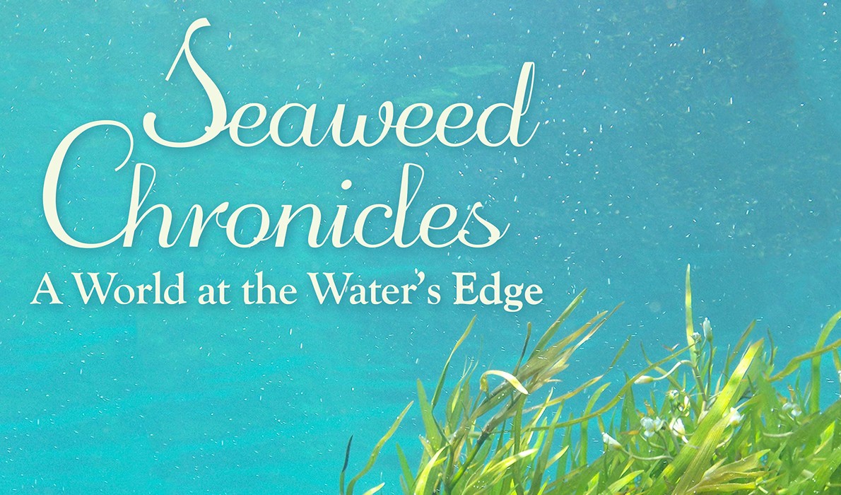 Seaweed Chronicles