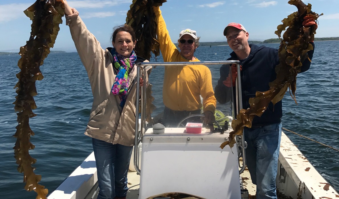 From left, Lisa Scali, Tollef Olson, and Sam Hayward show off the raw product. 