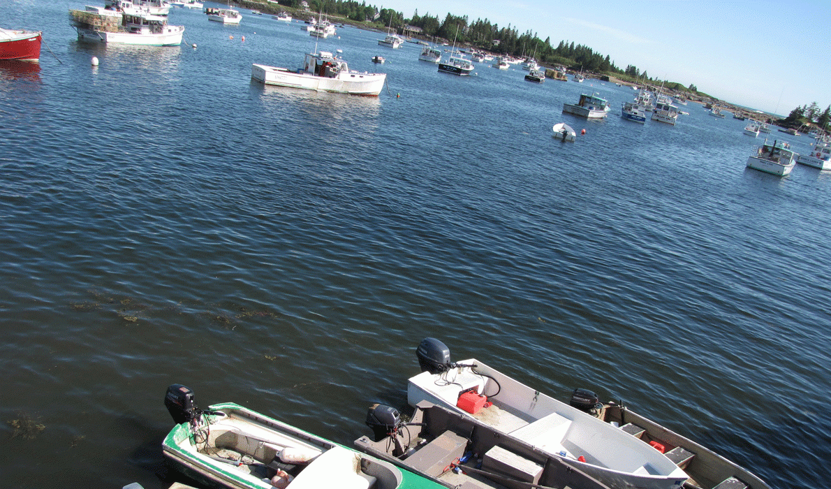 Vinalhaven harbor