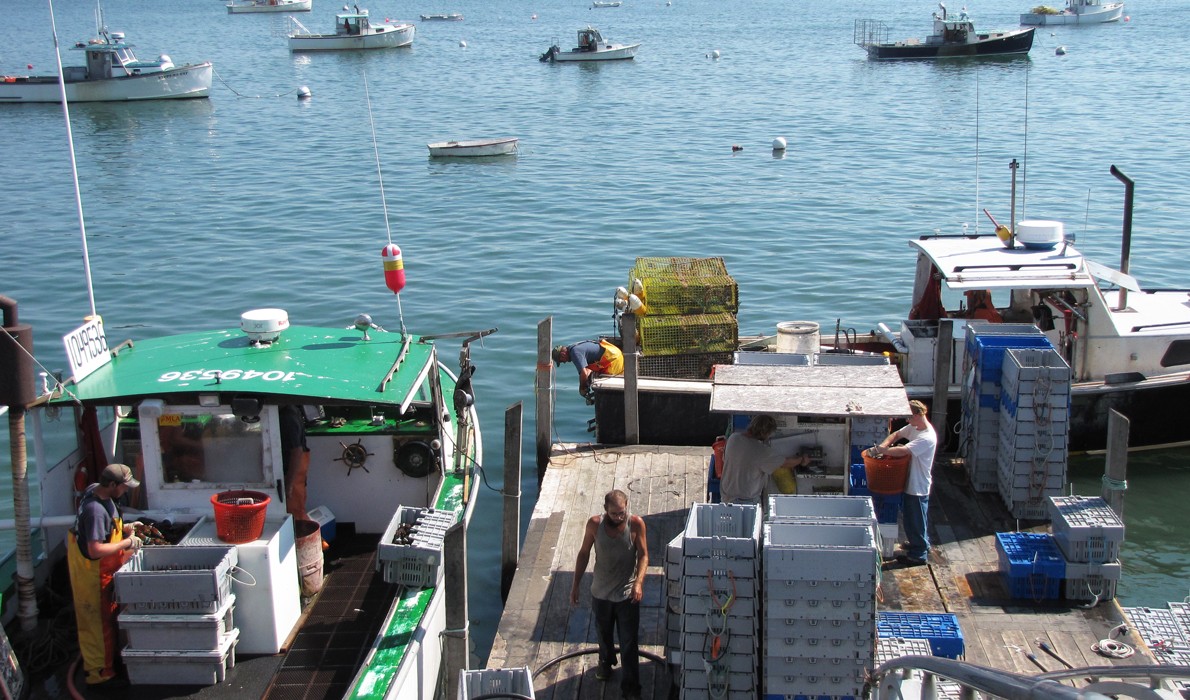 A lobster coop in Stonington.