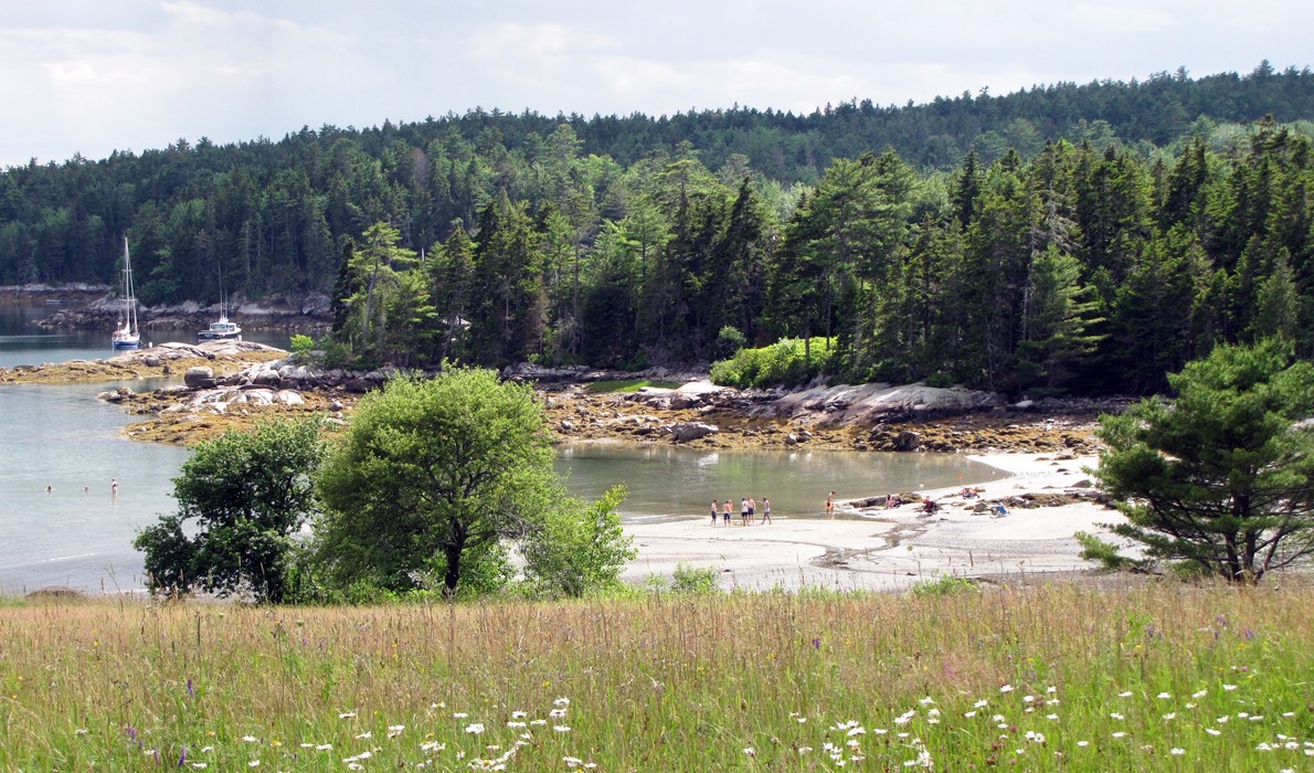 A beach in East Blue Hill at low tide.