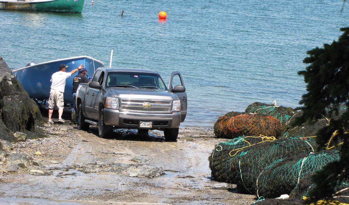 Rockweed harvested at Hancock Point.