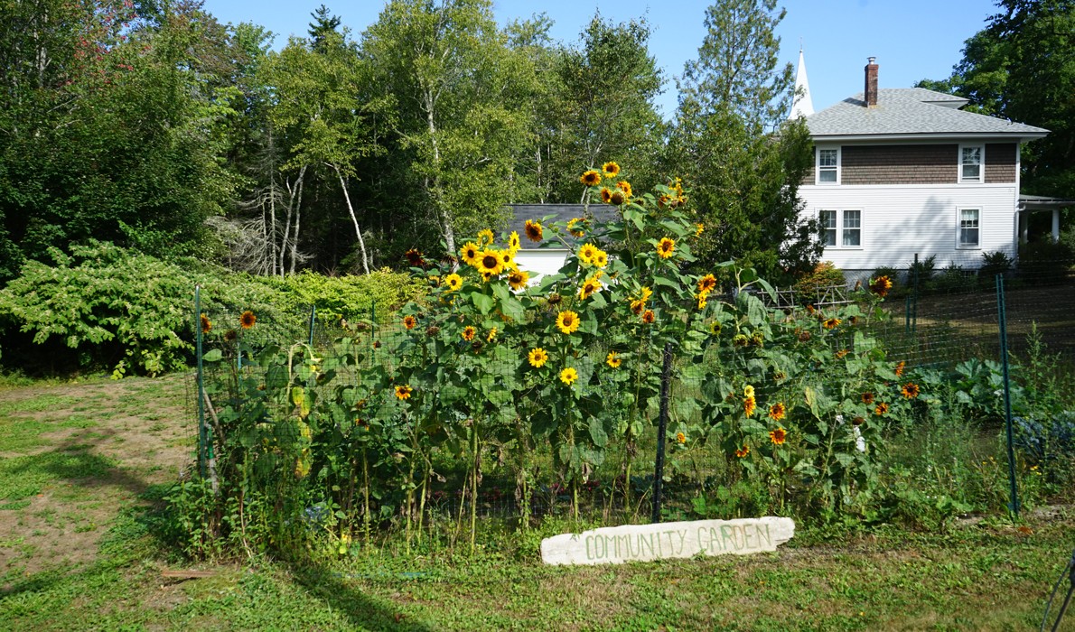 Islesboro community garden