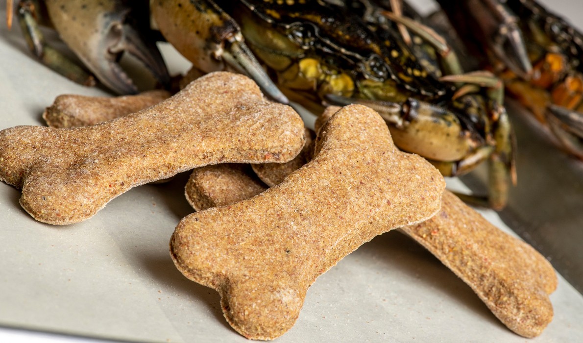 Green crabs into dog biscuits