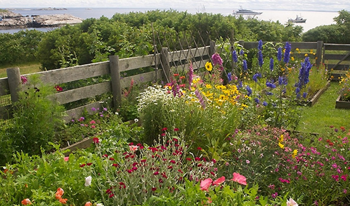 An island garden