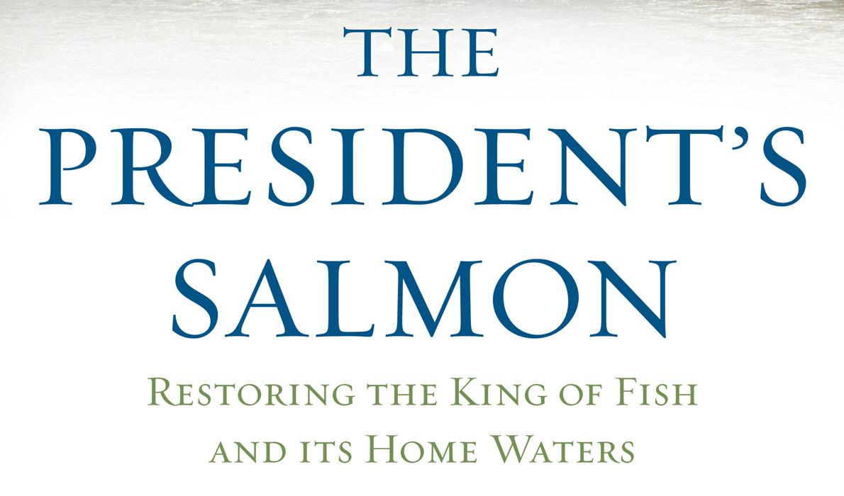 The President's Salmon by Catherine Schmitt