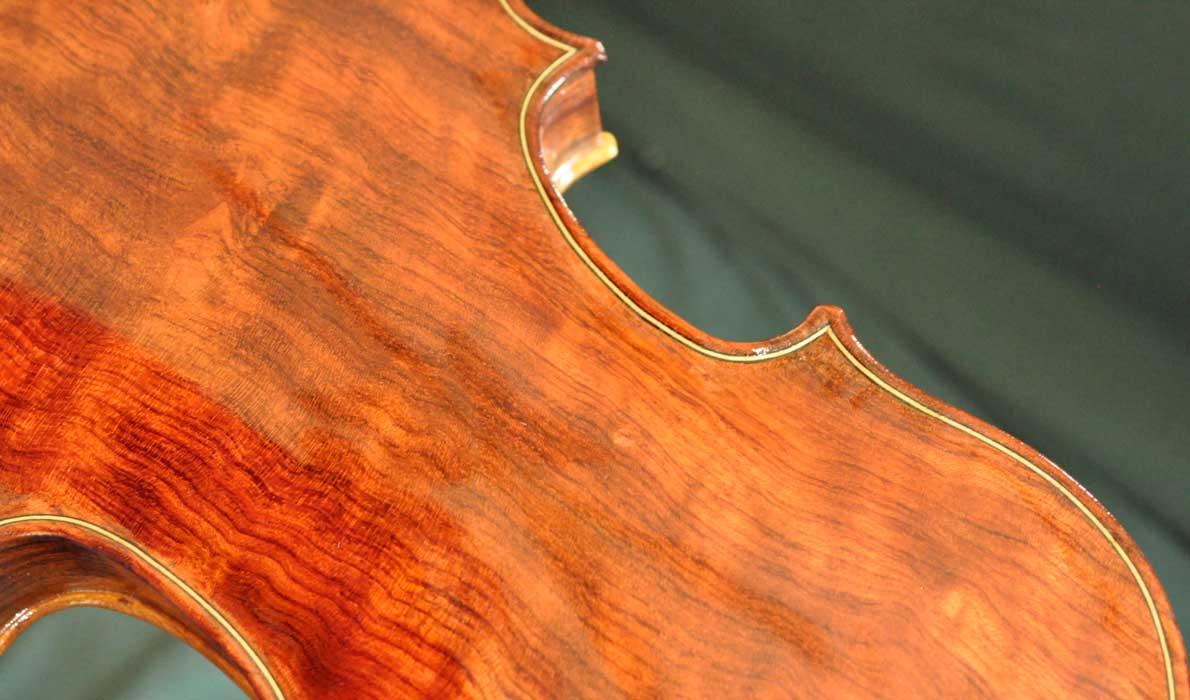 close-up of violin