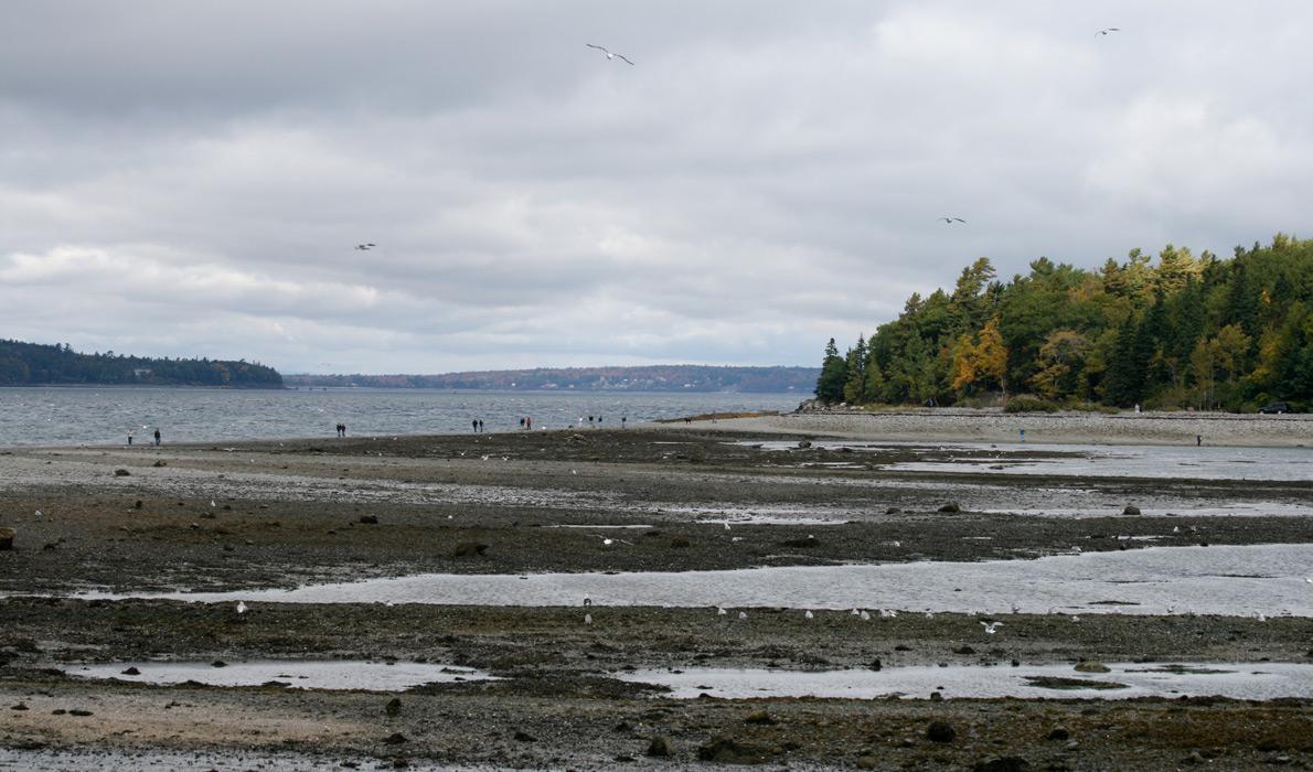 Bar Island sand bar