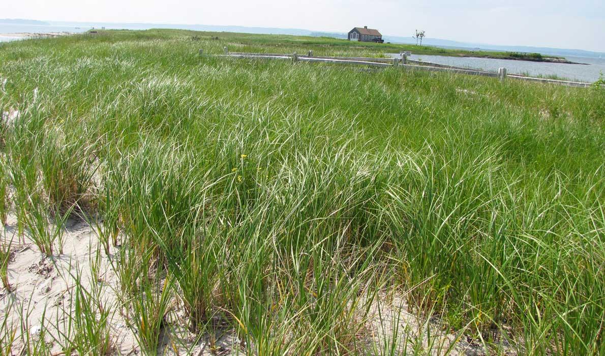 Chebeague Island beach house