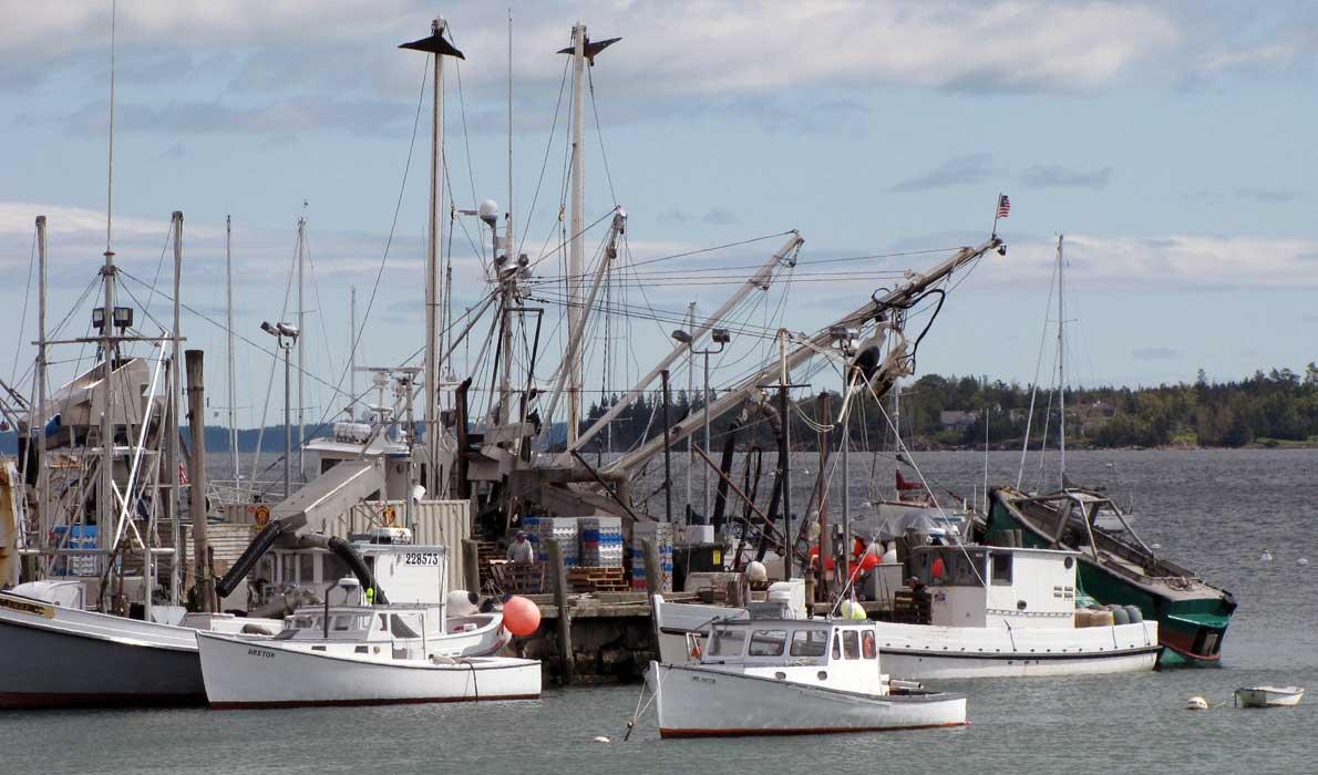 Dockland Fish Pier