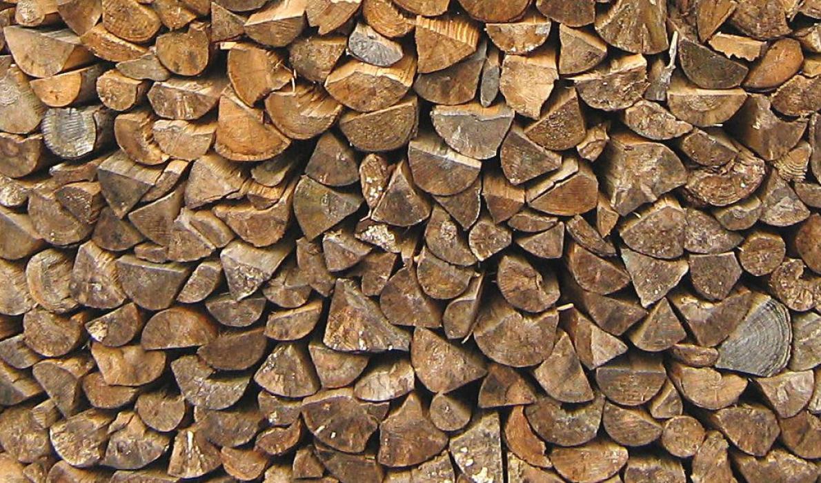 firewood stacked