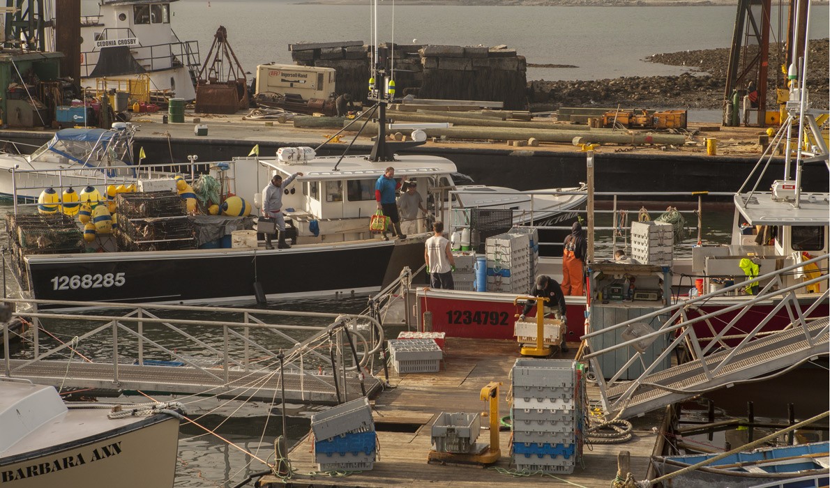 The woking waterfront on Islesford (Little Cranberry Island) is busy, even in November.