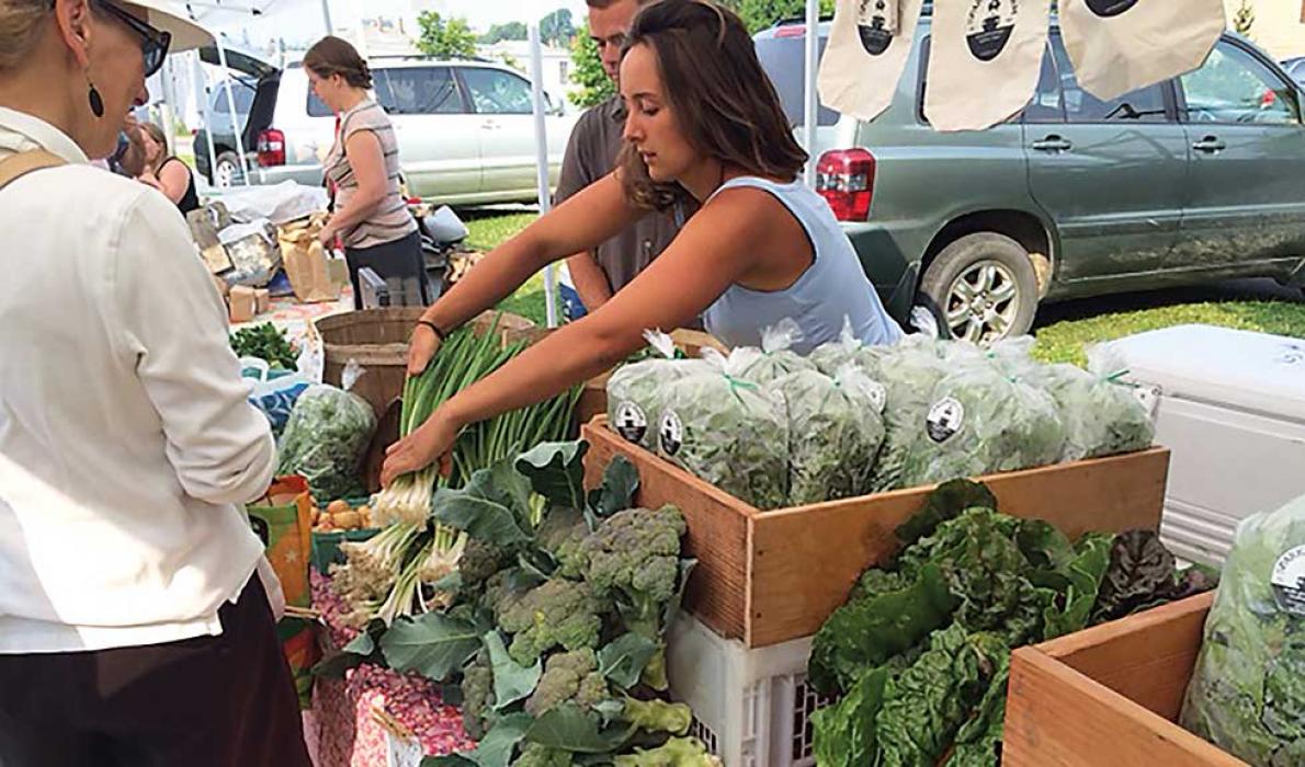 Sparkplug Farm at the island farmers market