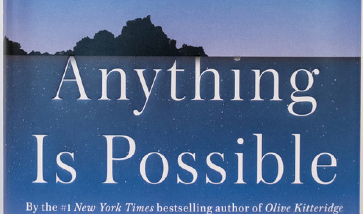 Book cover of Anything is Possible