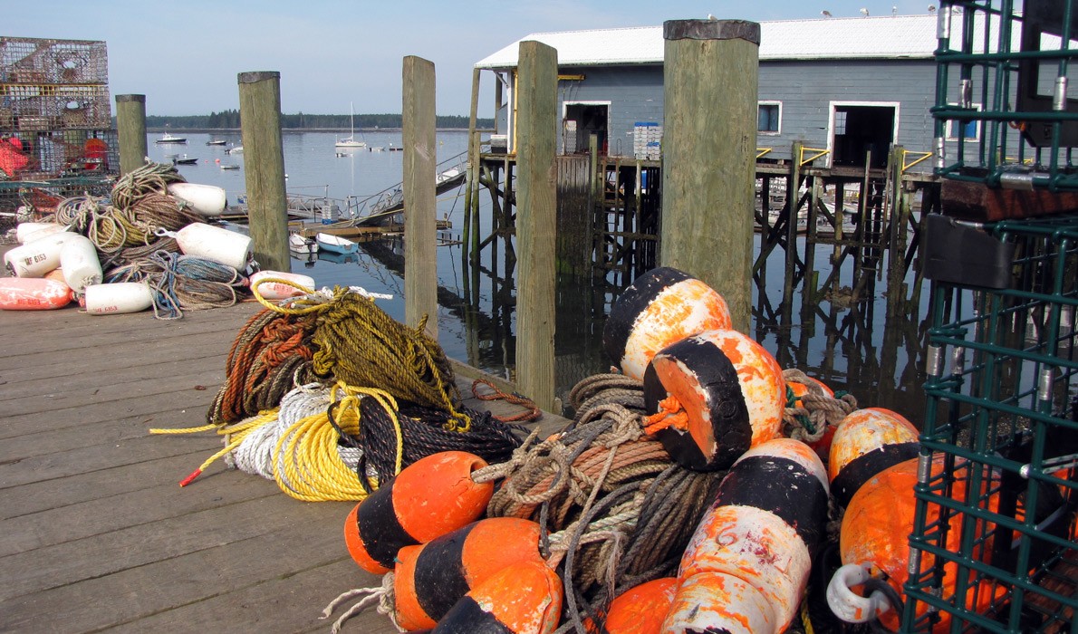 Lobster gear on the docks on Islesford