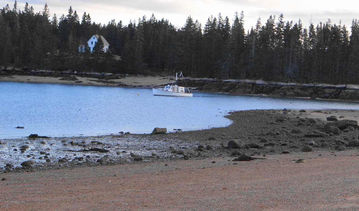 Beach in Brooklin.