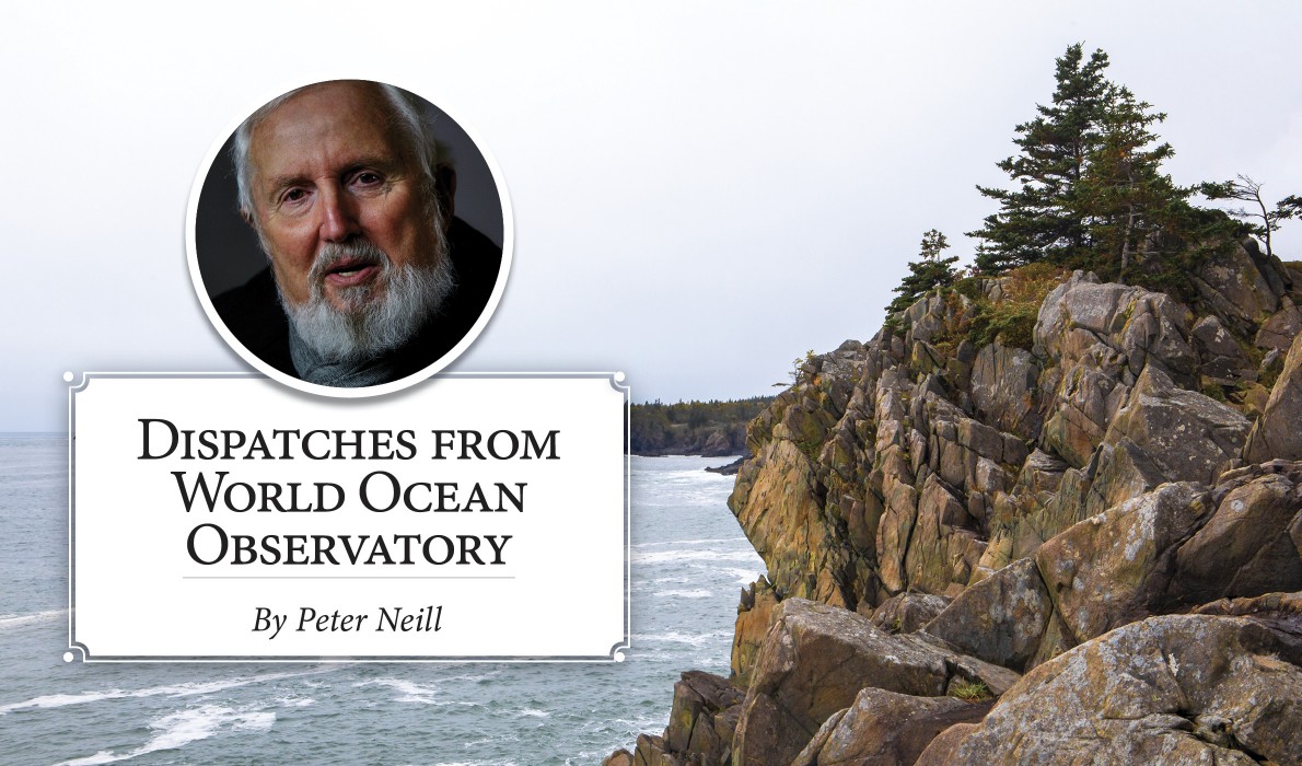 Dispatches from World Ocean Observatory