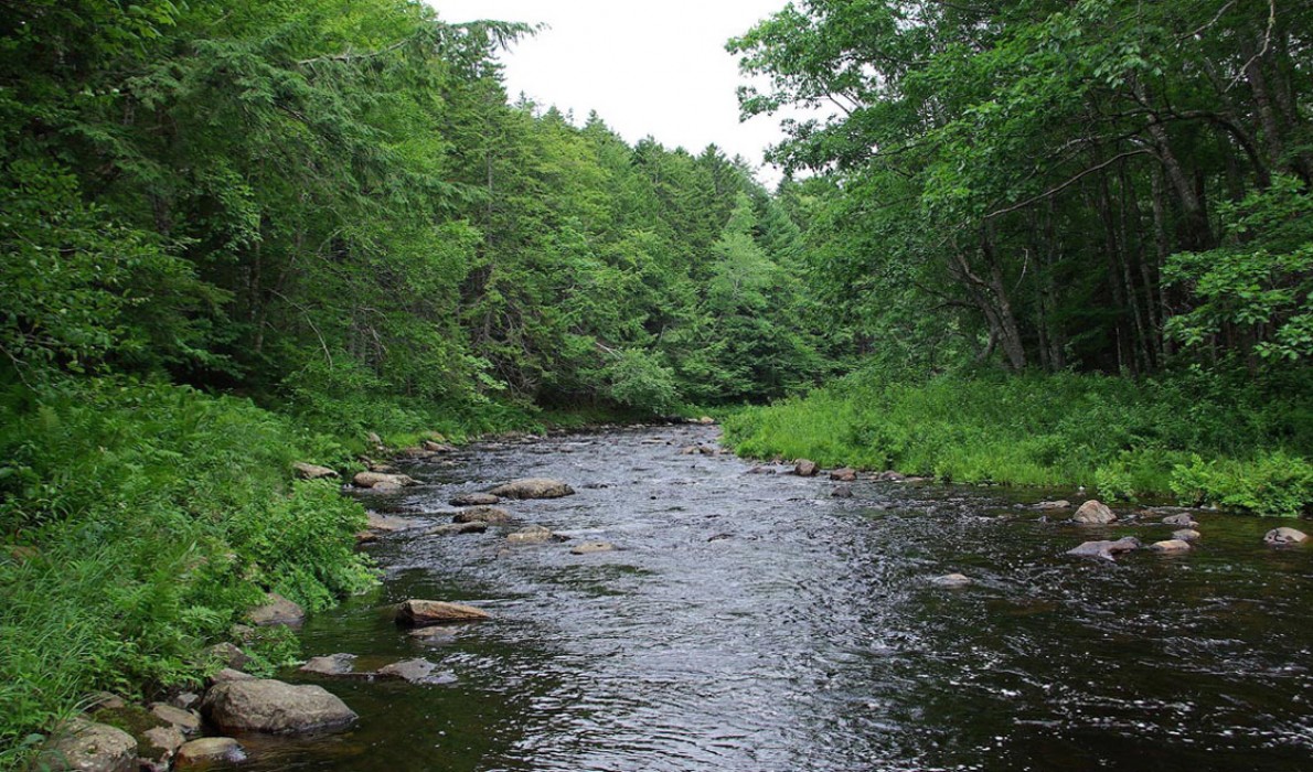 Ducktrap River