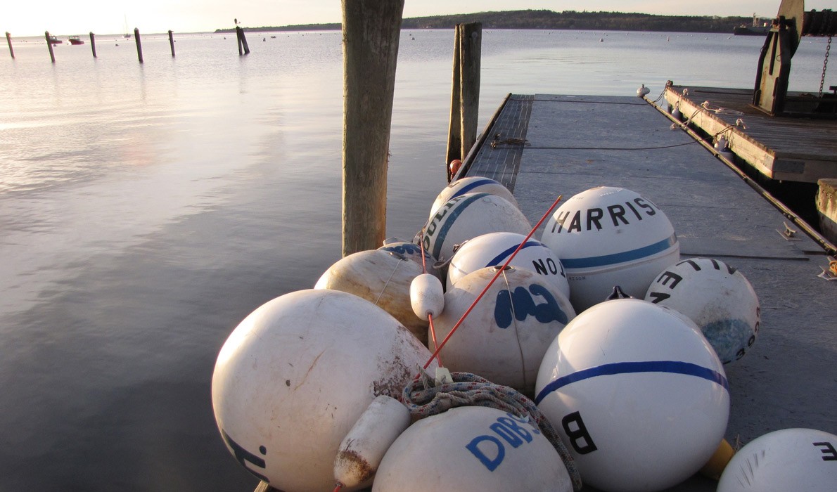 Rockland harbor in early morning.