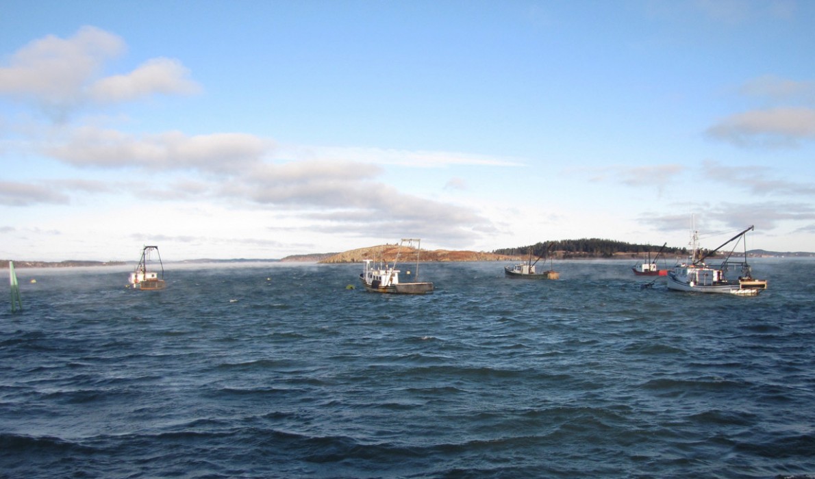 Scallop boats at dawn in Lubec.