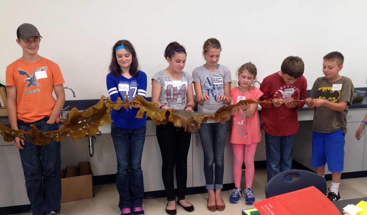 Students hold a blade of kelp