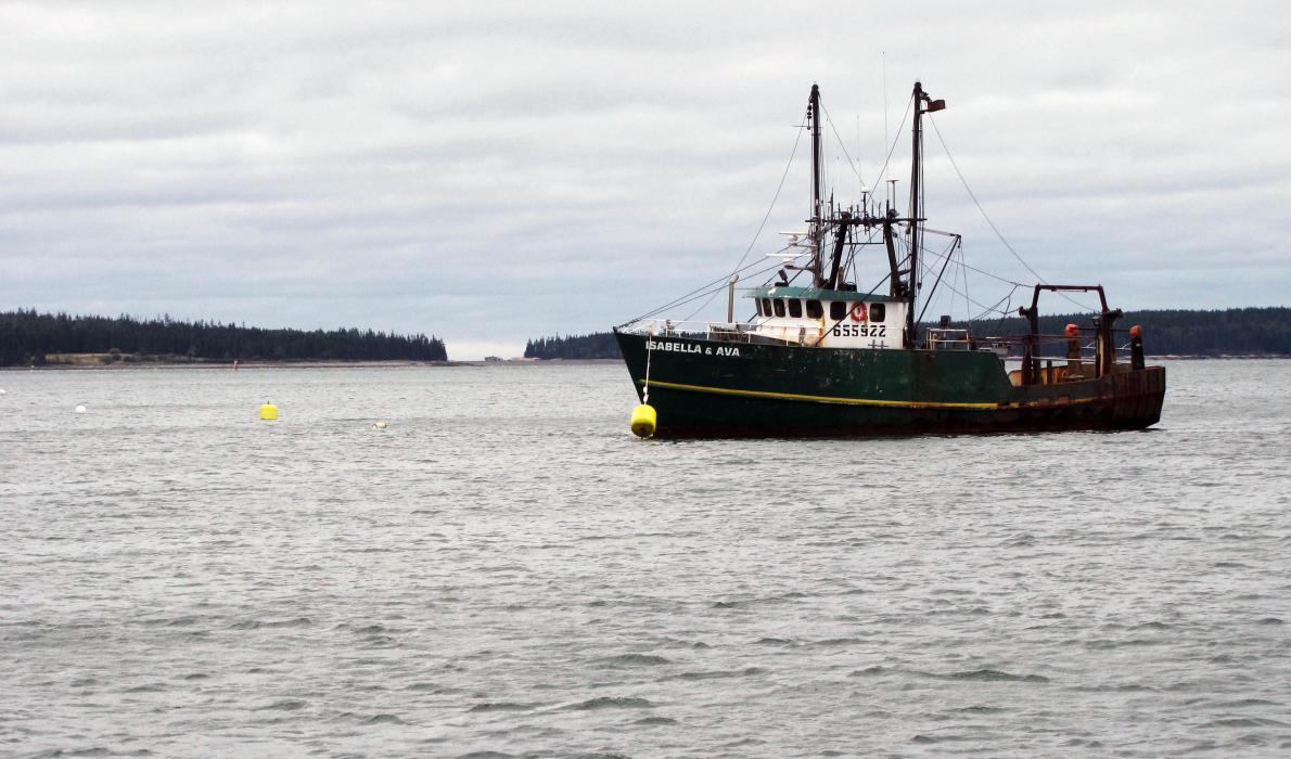 Fishing boat in Bass Harbor