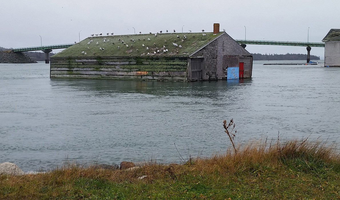 The year's highest tide in Lubec