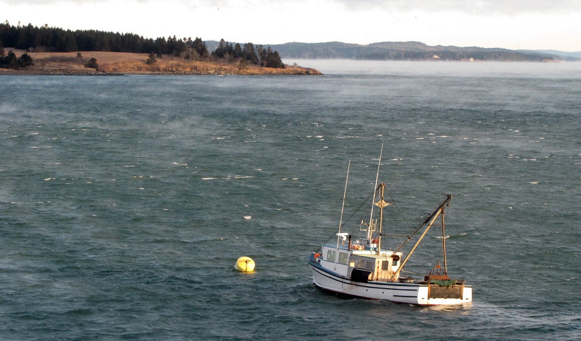 A scallop dragger at its mooring on a windy, cold day in Lubec.