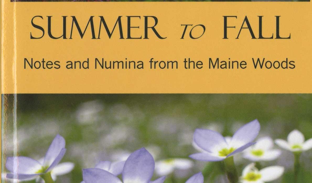 Summer to Fall book jacket