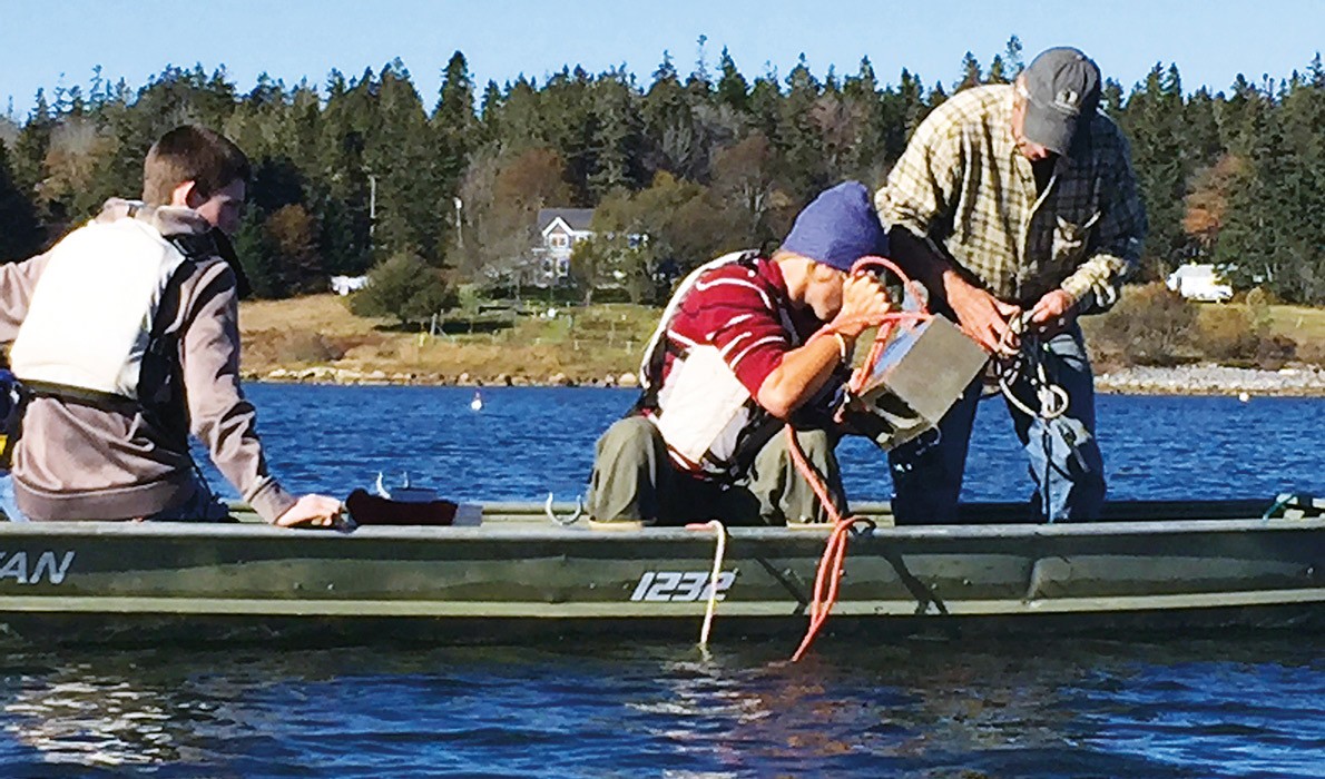 Setting kelp lines on Vinalhaven.