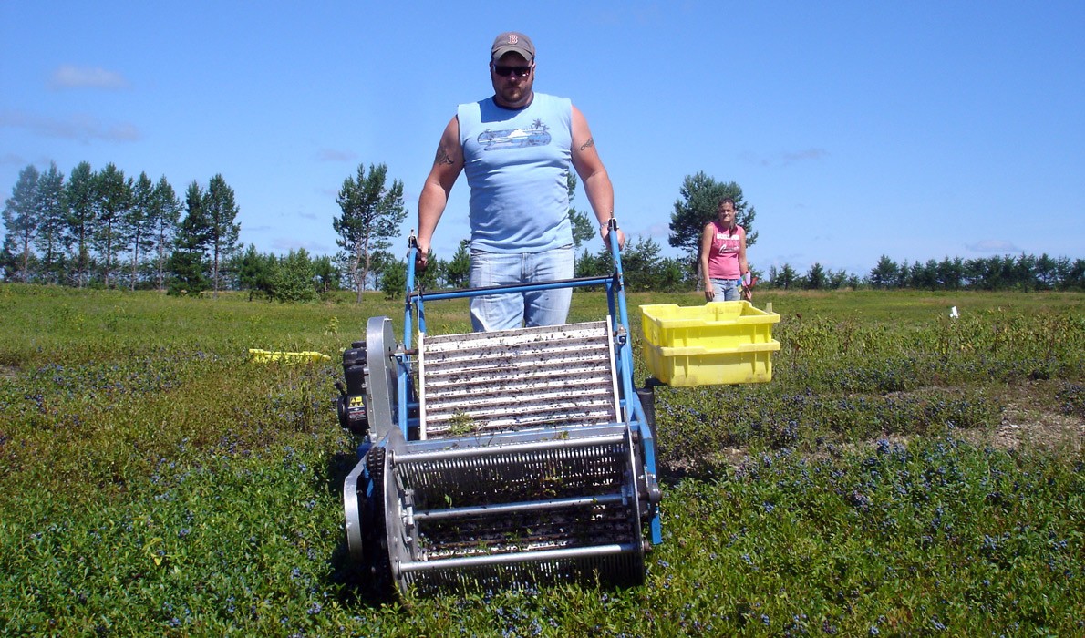 The Emerson harvester, produced by Zane Emerson in Columbia Falls...