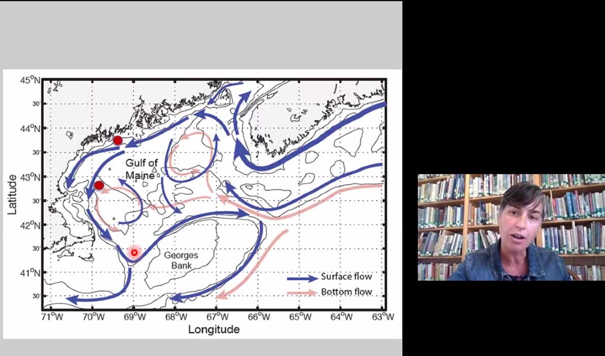 Carla Guenther, chief scientist with the Maine Center for Coastal Fisheries, displays a chart of the complex warm and cold currents that feed the Gulf of Maine. SCREENSHOT: MAINE CENTER FOR COASTAL FISHERIES