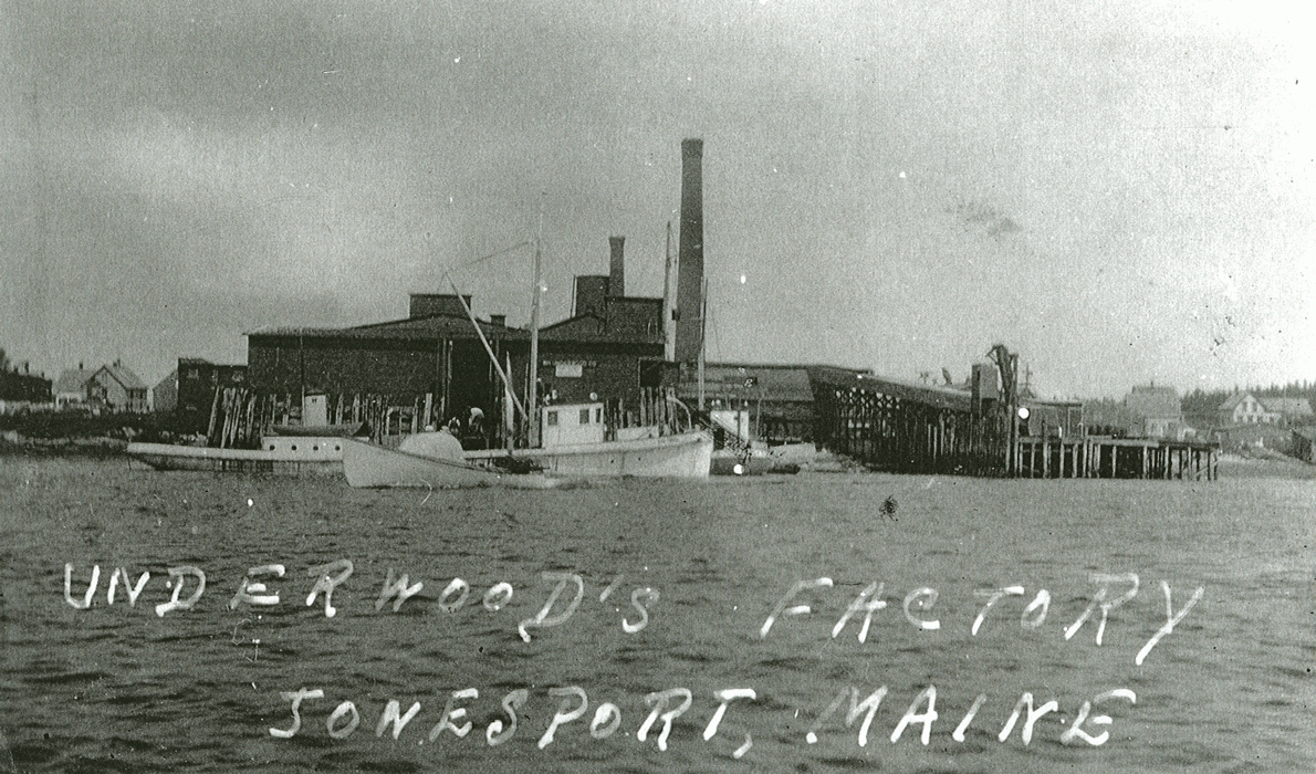 Jonesport sardine packing plant.