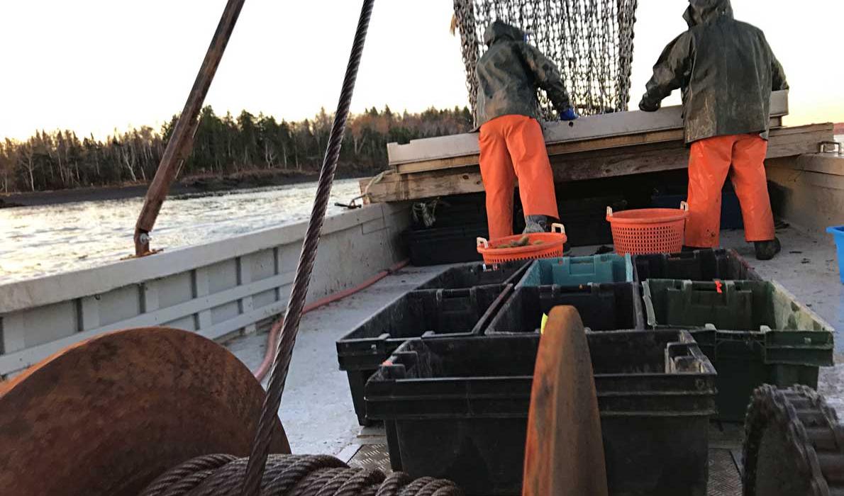 The crew working with the drag at the stern.