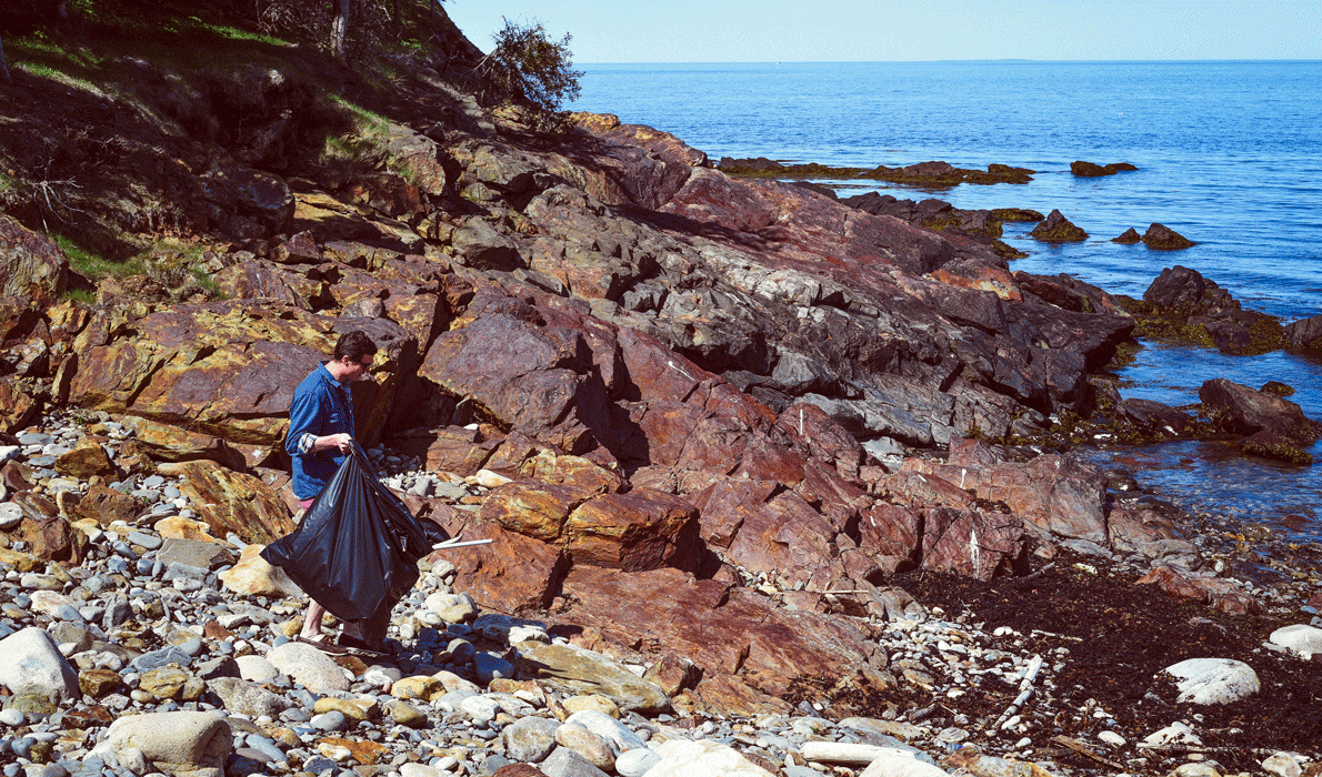 Cleaning up the coast.