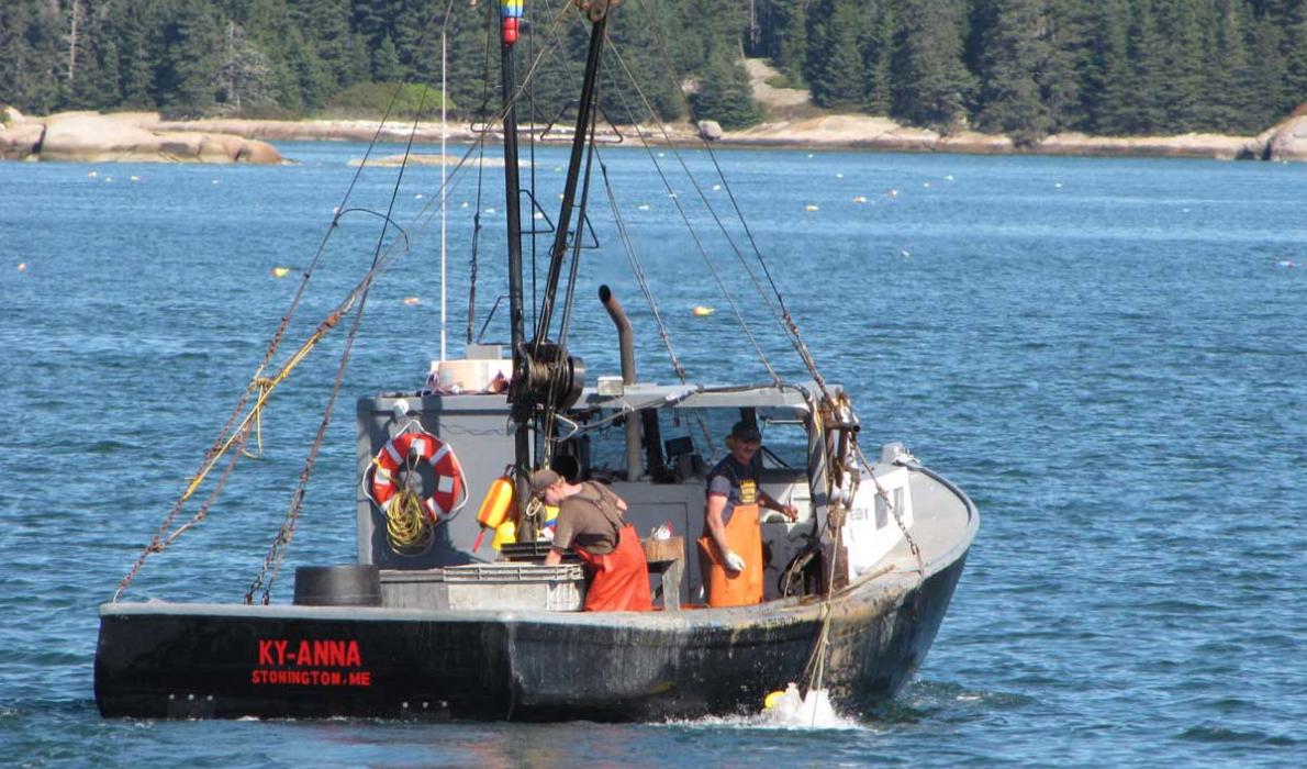 Stonington lobster boat