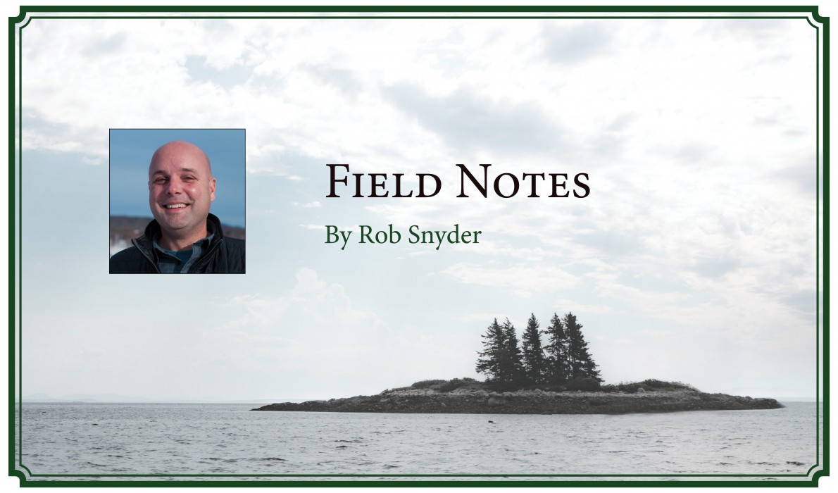 Field Notes